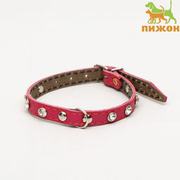 Ошейник кожаный двухслойный со стразами, 1,2 х 35 см, ОШ 20-30 см, розовый