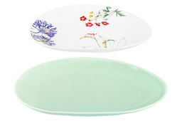 Набор тарелок 2 пр. 19,5*15,5*2 см + 24,7*19,5*2,7 см Ботанический атлас - Elan gallery фото 16