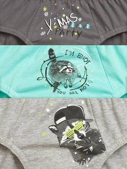 BULB3784(3шт. в упаковке) трусы для мальчиков - Pelican фото 2