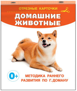 Домашние животные - Аст фото 2