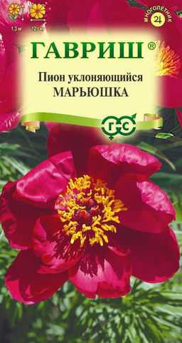 Пион уклоняющийся Марьюшка 3 шт. Н22