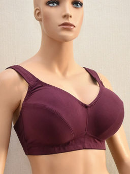 М011 бюст сливовое вино