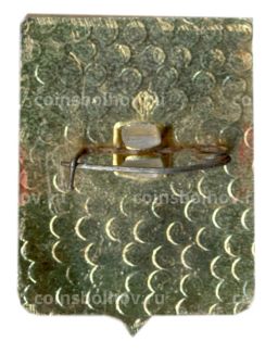 Значок Суздаль