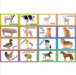 Развивающая игра Мамы и детеныши Часть 1