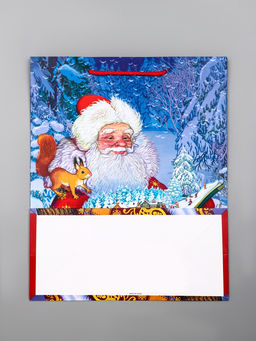 Цена за 2 шт. Пакет подарочный новогодний ламинированный, «Дед Мороз», 26×12×32 см