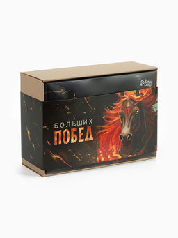 Подарочный набор новогодний Больших побед, плед, перчатки и аксессуары