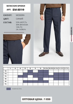 Брюки мужские арт. 801ф