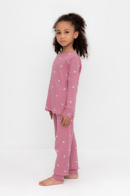 К 1552/пепельная роза,смешные зебры пижама дет