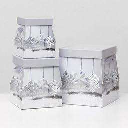 Набор подарочных коробок 3 в 1 трапеция, 19.5×22 - 12.5×15 см