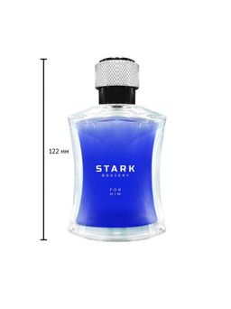 Dilis STARK BRAVERY Туалетная вода для мужчин 100 мл  фото 3