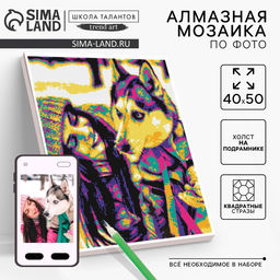 Алмазная мозаика по фото с полным заполнением «Pop Art», на холсте с подрамником, 40×50 см