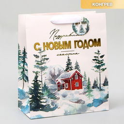 Пакет ламинированный вертикальный, конгревное тиснение С Новым годом, ML 23 27 11.5 см