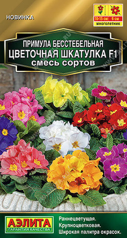 1771A Примула Цветочная шкатулка F1, смесь сортов 5шт