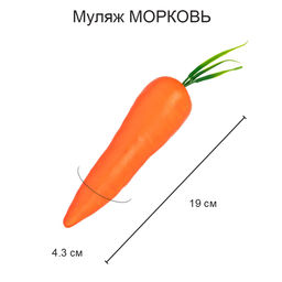 Blumentag MDL-03-07 Муляж Морковь 6 х 1 шт. d 4.3 см 19 см  фото 4