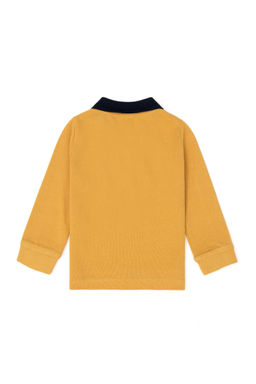 Толстовка Safran Basic для мальчиков - U.s. polo assn фото 2