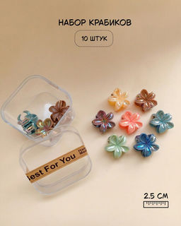 Набор крабиков для волос в боксе (10 шт)