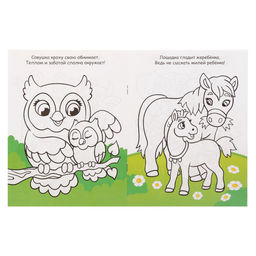 Раскраски набор Для девочек, 8 шт. по 12 стр.