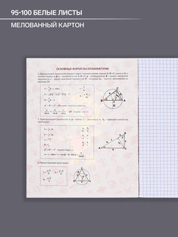Цена за 5 шт. Тетрадь предметная 48 листов в клетку, Calligrata «Неоновые звери. Геометрия», обложка мелованный картон