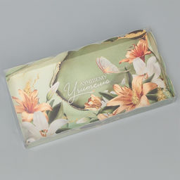 Цена за 5 шт. Коробка для печенья, кондитерская упаковка с PVC крышкой, «Лучшему учителю», 21 х 10.5 х 3 см