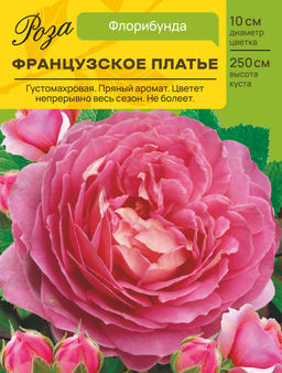 Роза Французское Платье (Плетистая) С ЦВ.НАКЛЕЙКОЙ 1шт
