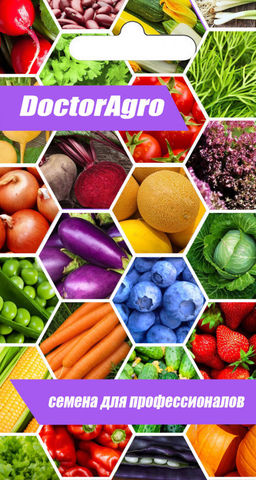 5174D Томат Волгоградские зори 5шт - Доктор Агро фото 2