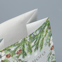 Цена за 10 шт. Пакет подарочный без ручек Волшебного Нового года, 10?19.5?7 см