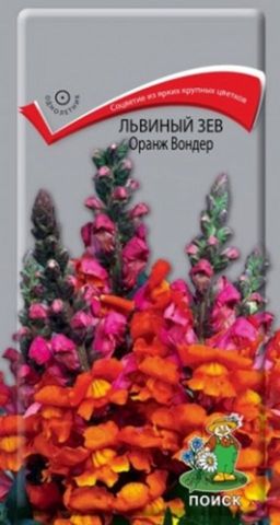 Львиный зев (Антирринум) Оранж Вондер (ЦВ ) (1) 0,1гр.