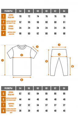 Арт. 291 Пижама с шортами 42-52 (6 шт) Цвет:ассорти - Калинка фото 3