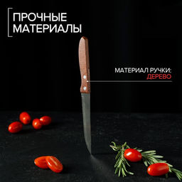 Цена за 2 шт. Нож кухонный Доляна «Эльбрус», зубчатое лезвие 11,5 см