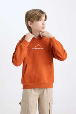 Толстовка обычного кроя с капюшоном и принтом на спине для мальчиков с вышивкой - Defacto фото 5