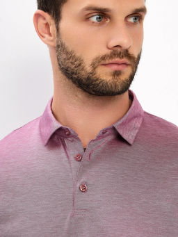 Джемпер мужской с воротником поло GREG G155-PM4-LT1635 (бордо)  фото 8