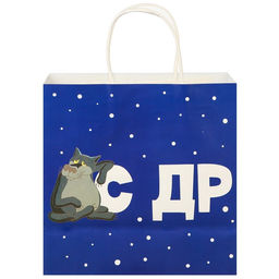 Пакет подарочный «С Др тебя если чо», 22×22×11 см, крафт, упаковка, Жил-был Пес