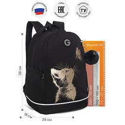 RG-663-3 Рюкзак школьный с обвесом - Grizzly фото 12