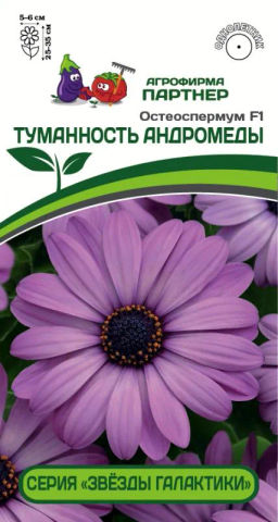 Остеоспермум Эклона Звезды Галактики Туманность Андромеды