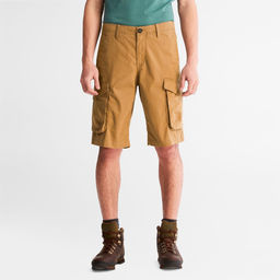 Шорты / Timberland