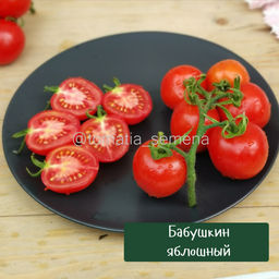 Бабушкин яблошный - Tomatia фото 2