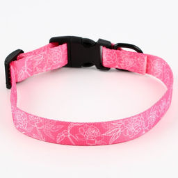 Ошейник My littlle princess, застёжка - фастекс, 2 см 25-40 см - Пушистое счастье фото 4
