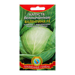 Цена за 3 шт. Семена Капуста белокочанная "Валентина" F1, 0,1 г