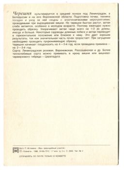 Открытка Черешня