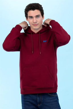 U. S. Polo Assn Бордово-красный базовый свитшот с капюшоном Неожиданная скидка в корзине - U.s. polo assn фото 6