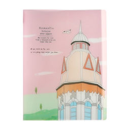 Папка формат А4, с 60 прозрачными файлами Достопримечательность, МИКС - Calligrata фото 3