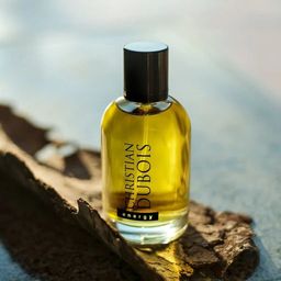 Dilis CHRISTIAN DUBOIS Energy Туалетная вода для мужчин 100 мл  фото 2