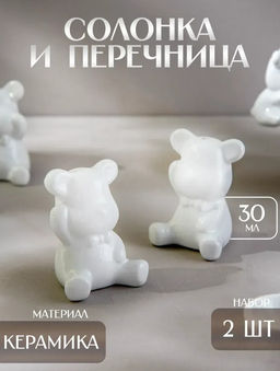 Набор для специй Доляна «Стильный мишка», 2 предмета: солонка 30 мл, перечница 30 мл, белый