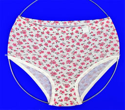 Цена за 5 шт. "Горянка" трусы женские хлопок 100% цветные