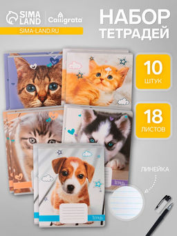 Комплект тетрадей из 10 штук, 18 листов в линию Calligrata «Домашние животные», обложка мелованный картон, ВД-лак, блок офсет, 5 видов по 2 штуки