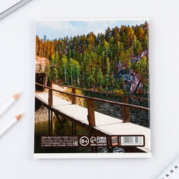 Цена за 20 шт. Тетрадь в линейку, предметная, 48 л.,на скрепке, А5 «ПРИРОДА. Литература»