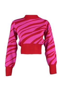 Zumrut Yesili Zebra Desenli Crop Triko Kazak TWOAW21KZ0010 - Trendyolmilla фото 37