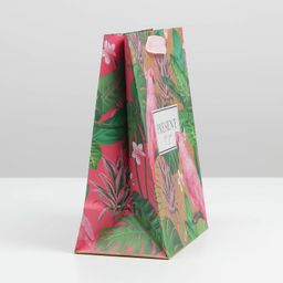 Пакет подарочный крафтовый вертикальный, упаковка, «Present for you», MS 18 х 23 х 8 см