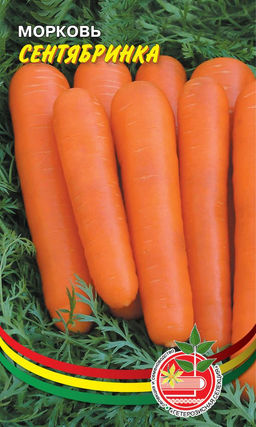 Морковь СЕНТЯБРИНКА Стабильно урожаен и прекрасно хранится в зимний период!