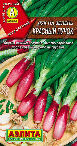 0551A Лук на зелень Красный пучок 0,3гр